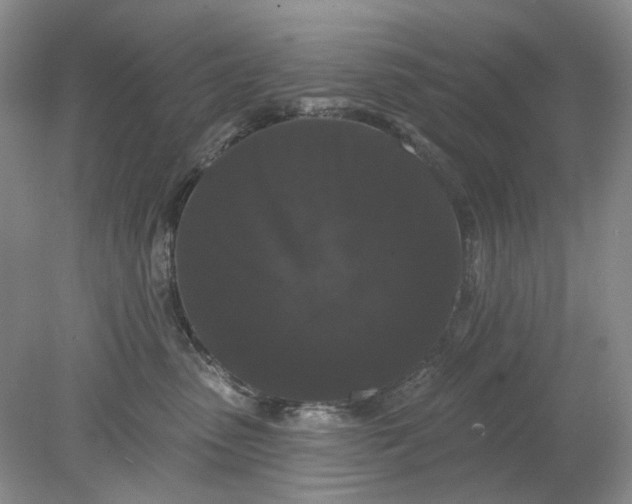 X0000078290475200611172127