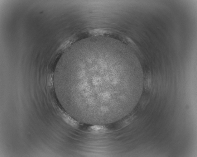 X0000078290477200611172127