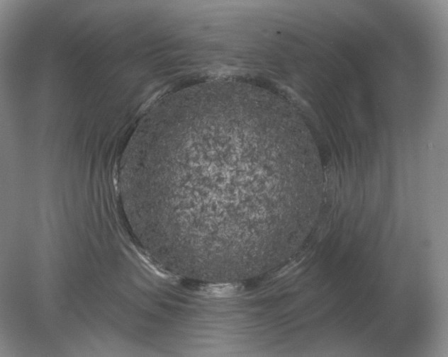 X0000078290479200611172127