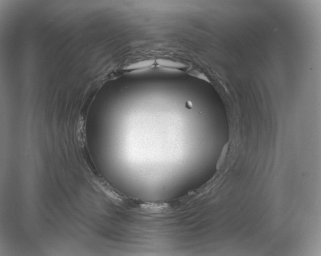 X0000078290480200611172127