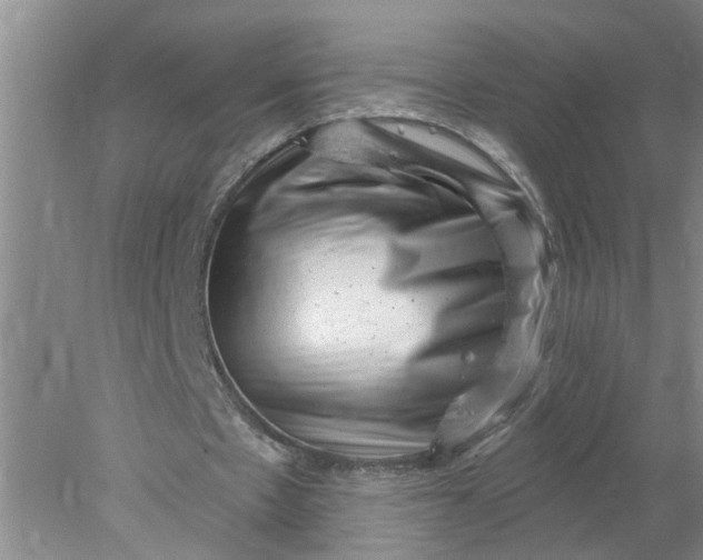 X0000078290481200611172126