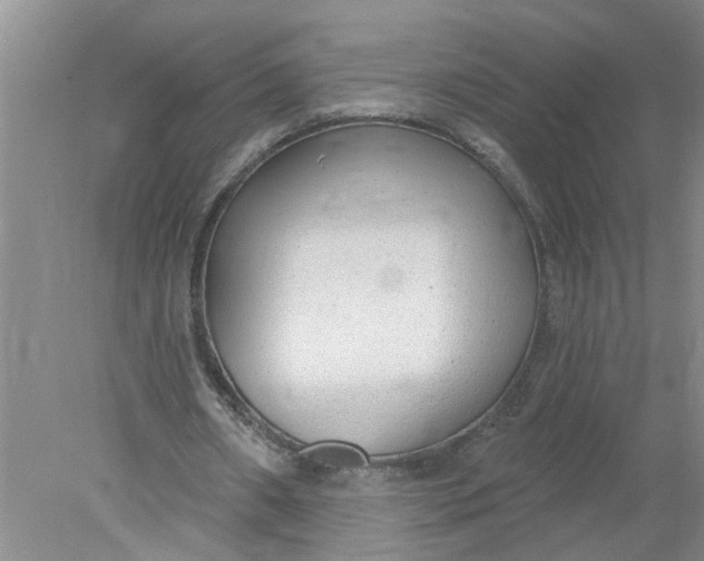 X0000078290482200611172126