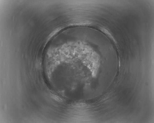 X0000078290483200611172126