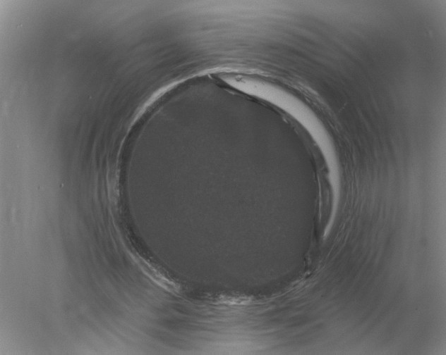 X0000078290484200611172126