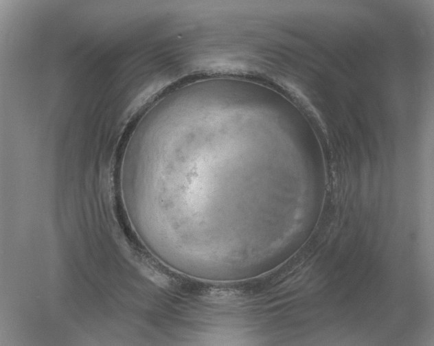 X0000078290487200611172126