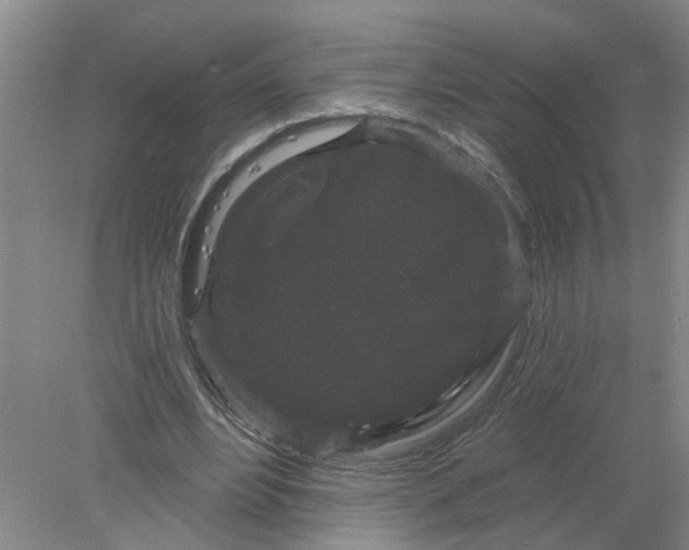 X0000078290488200611172126