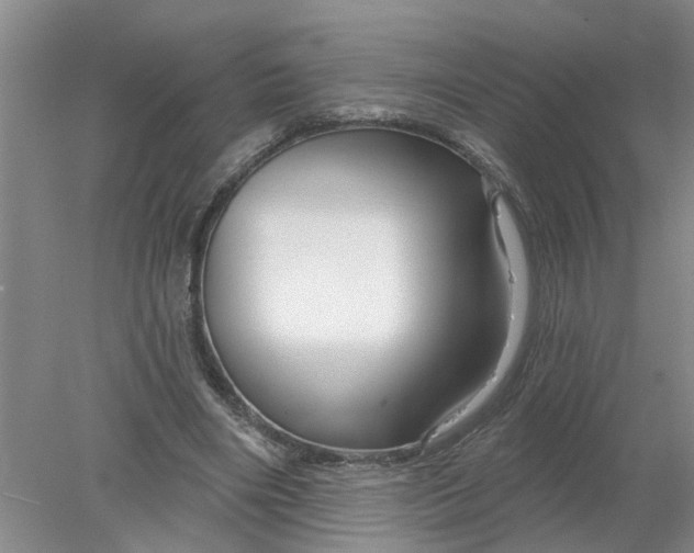 X0000078290490200611172126