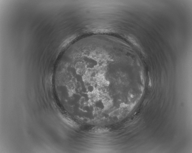 X0000078290491200611172126