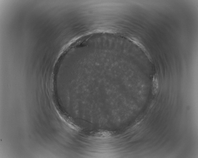 X0000078290492200611172126