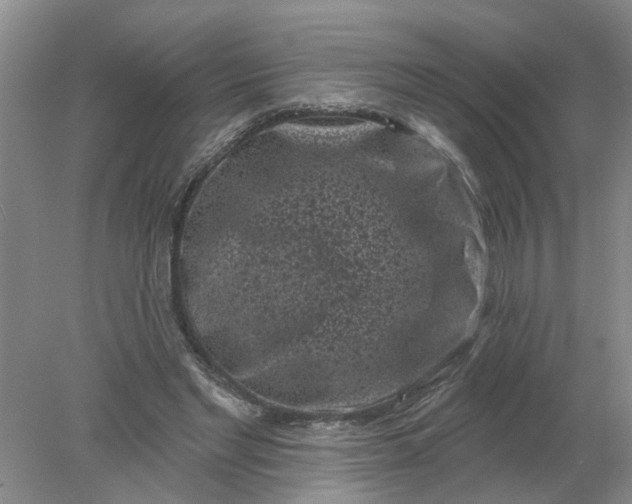 X0000078290493200611172126