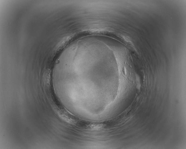 X0000078290495200611172126