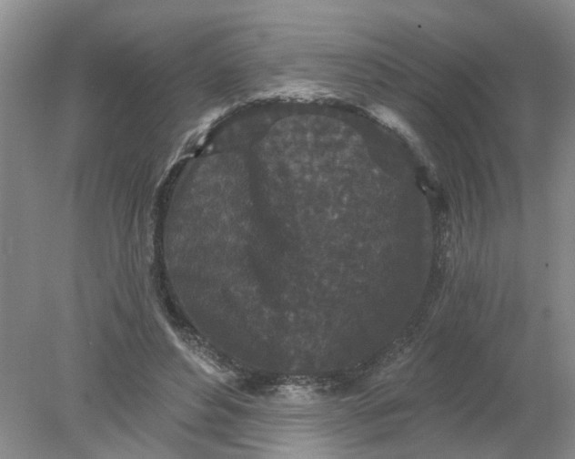 X0000078290496200611172126