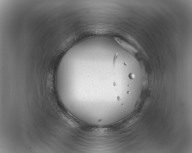 X0000078290497200611172126