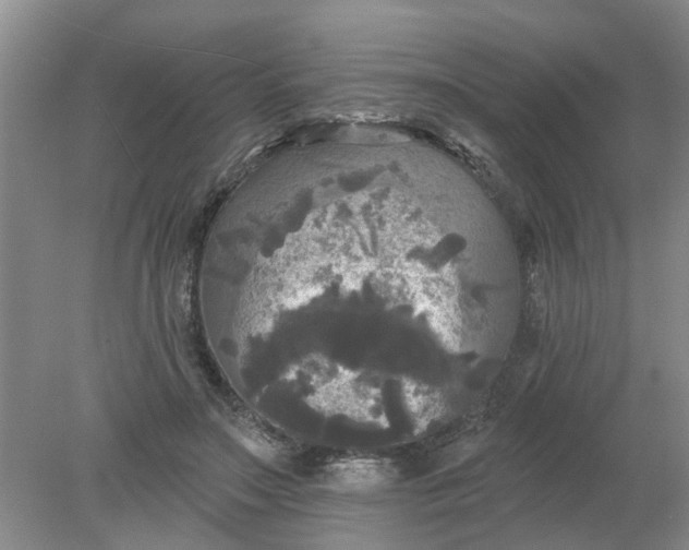 X0000078290499200611172126