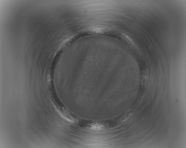 X0000078290500200611172126