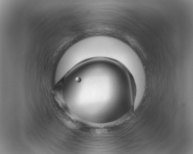 X0000078290501200611172126