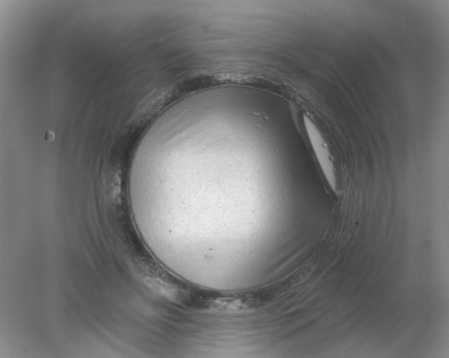 X0000078290502200611172126