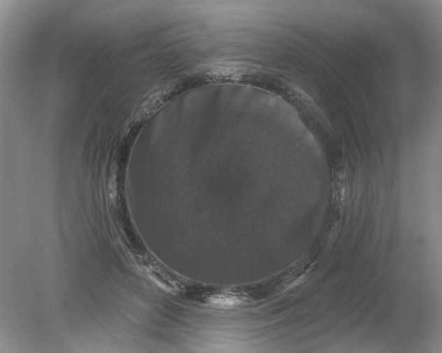 X0000078290504200611172126