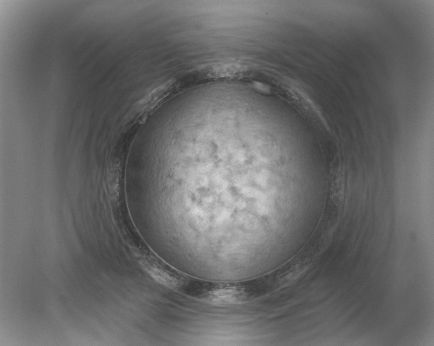 X0000078290505200611172126