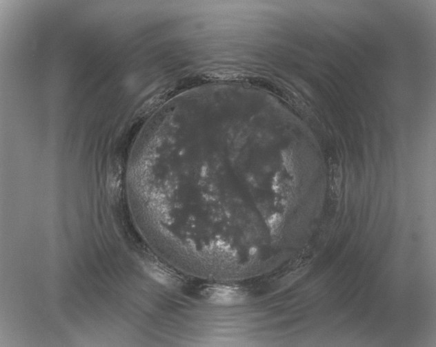 X0000078290507200611172126