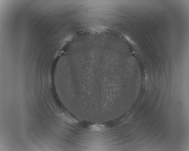 X0000078290508200611172126