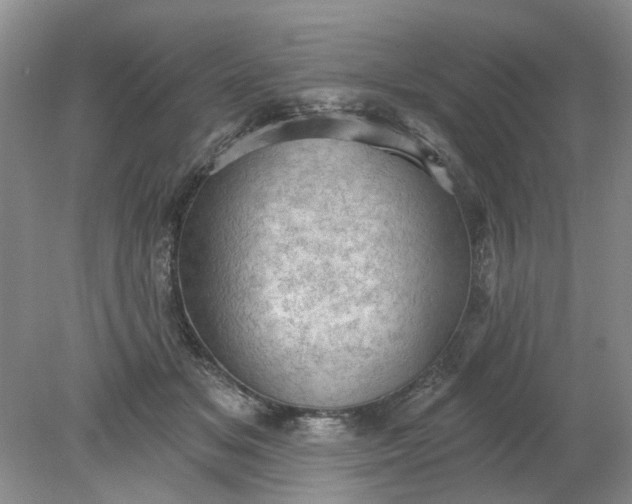 X0000078290509200611172126