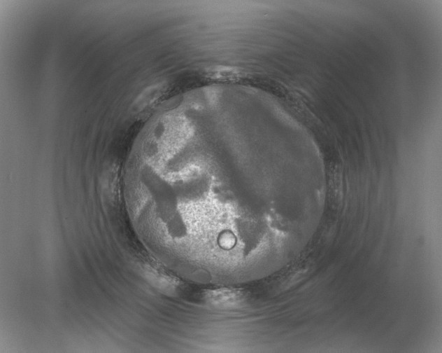 X0000078290511200611172126