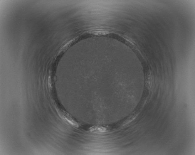 X0000078290512200611172126