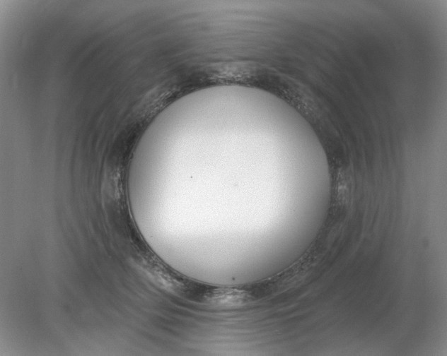 X0000078290514200611172126