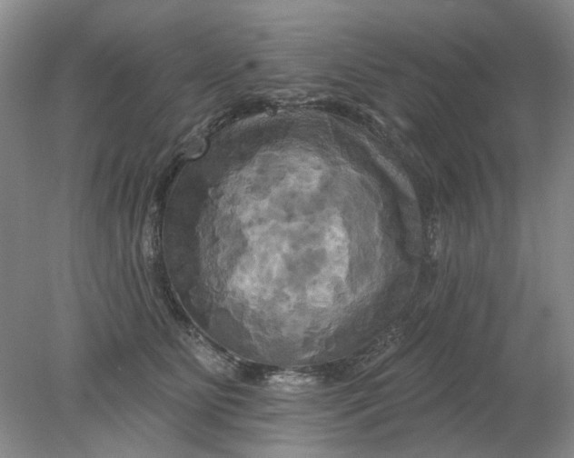 X0000078290515200611172126