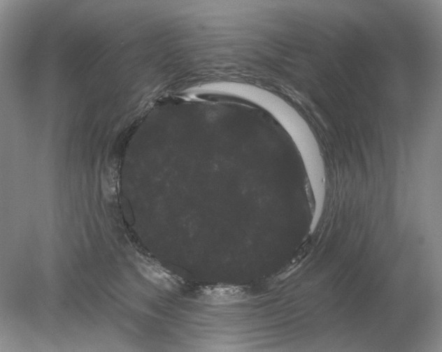 X0000078290517200611172126