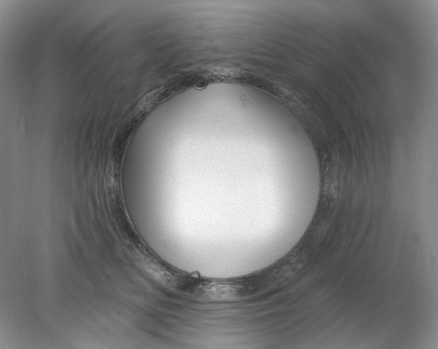 X0000078290518200611172126