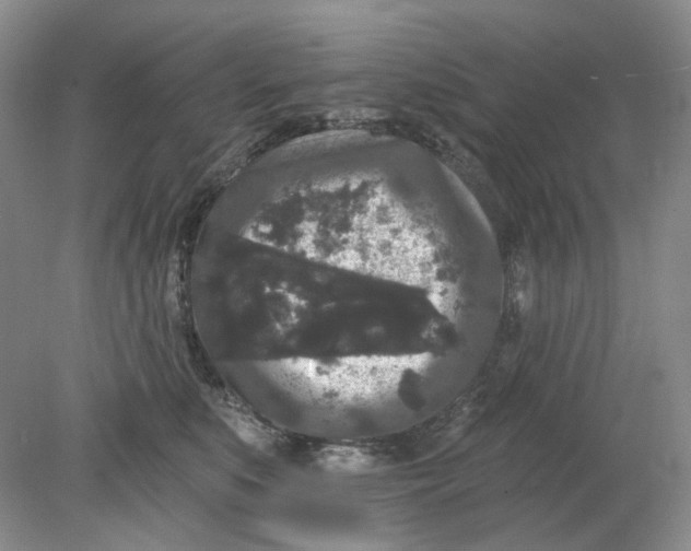 X0000078290519200611172126