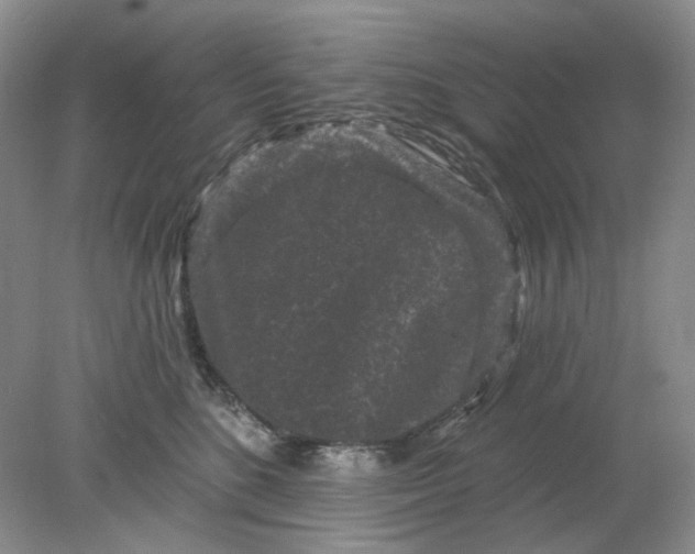 X0000078290520200611172126