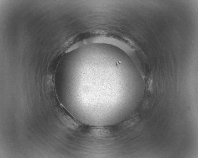 X0000078290521200611172126