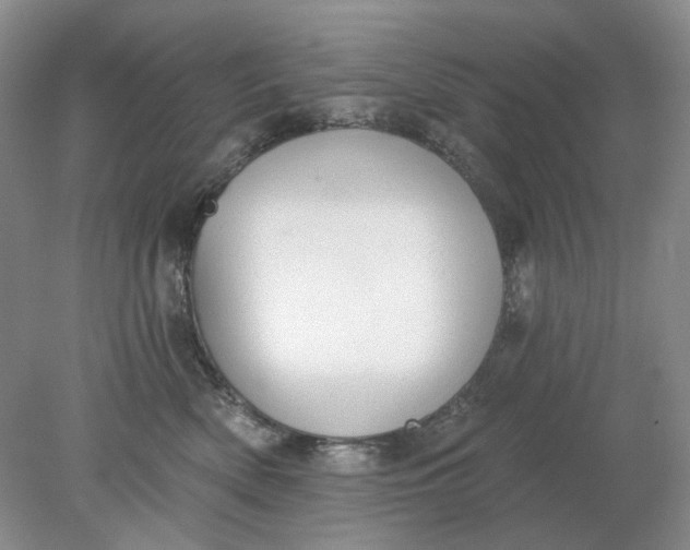 X0000078290522200611172126