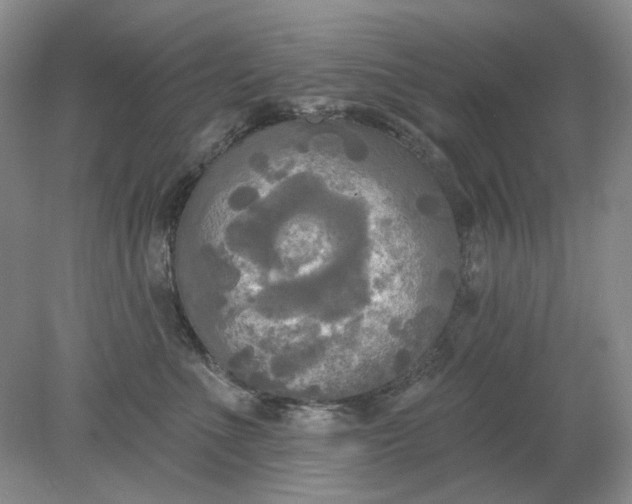 X0000078290523200611172126