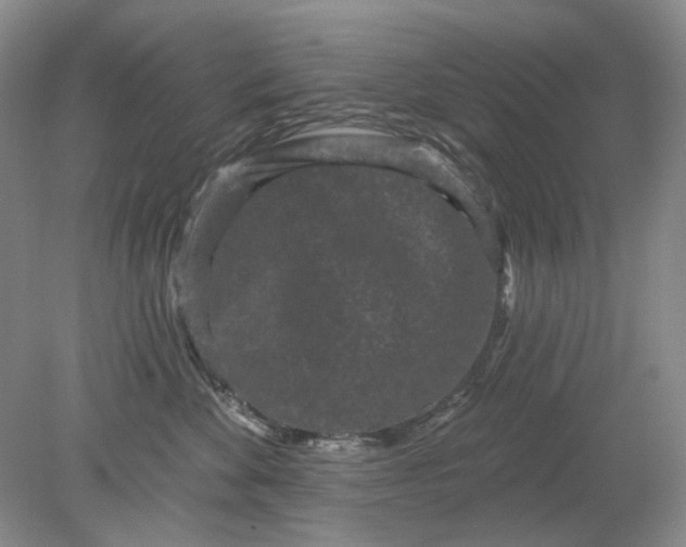 X0000078290524200611172126