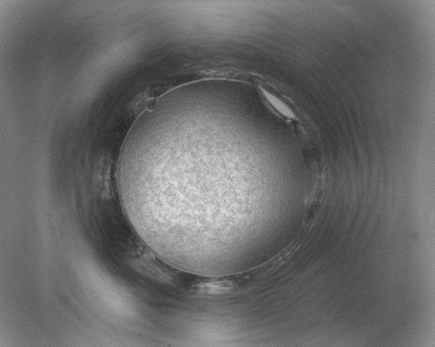 X0000078290525200611172125