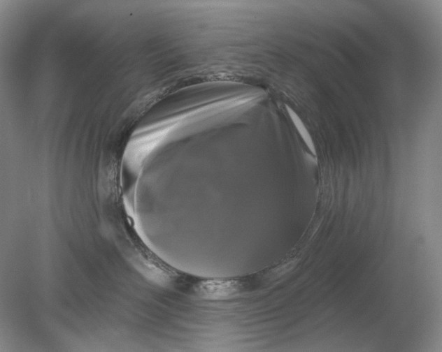 X0000078290526200611172125