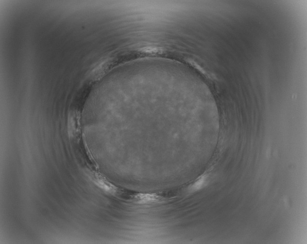 X0000078290528200611172125