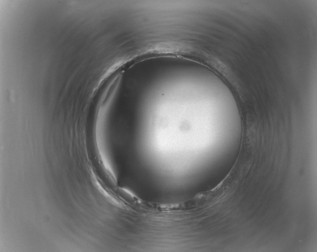 X0000078290530200611172125