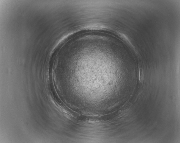 X0000078290531200611172125