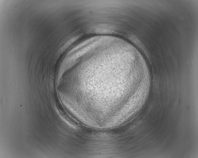 X0000078290533200611172125