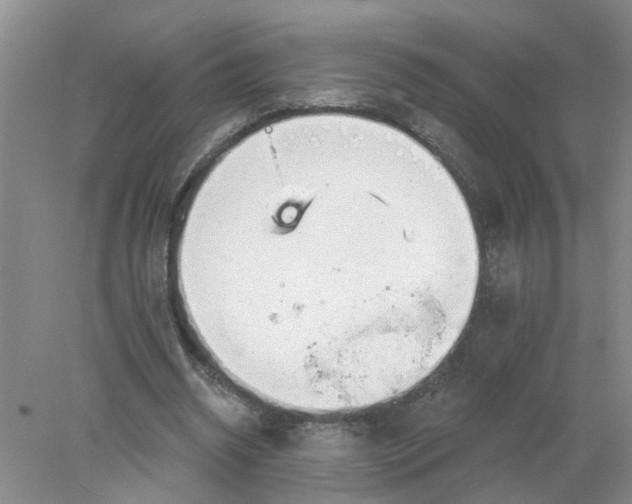 X0000078290534200611172125