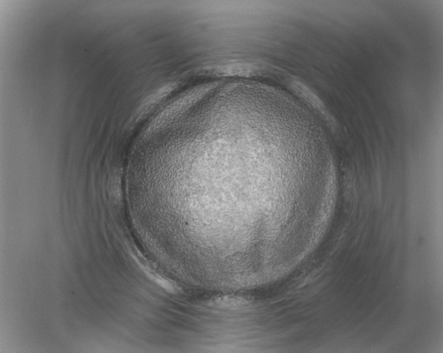 X0000078290537200611172125