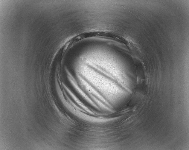 X0000078290540200611172125