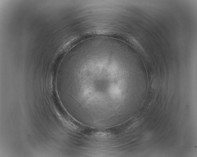 X0000078290542200611172125