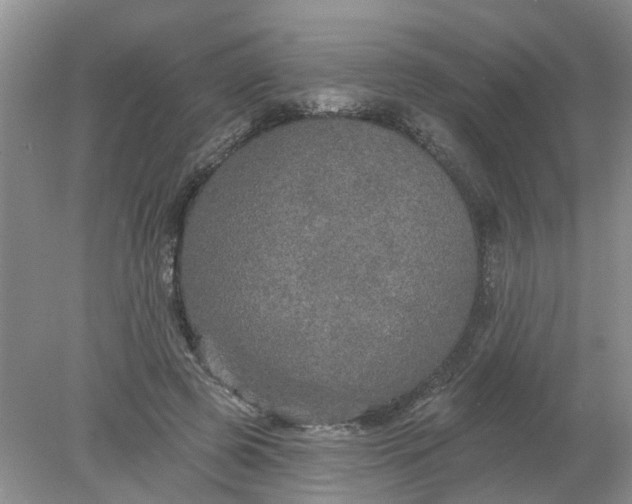 X0000078290545200611172125