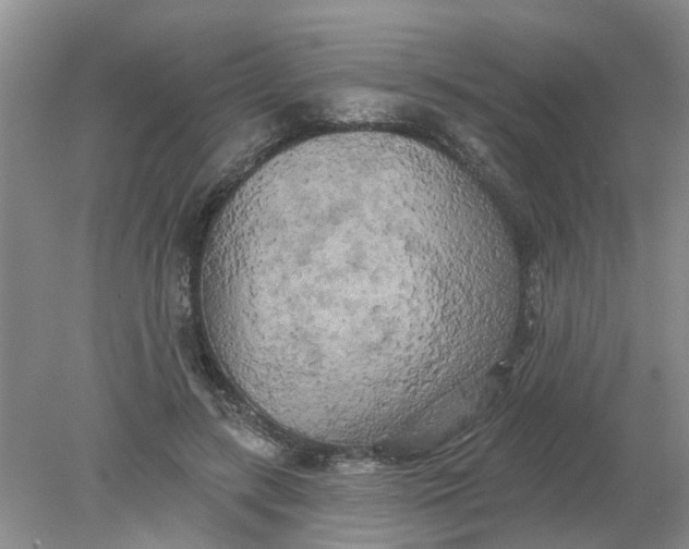 X0000078290547200611172125